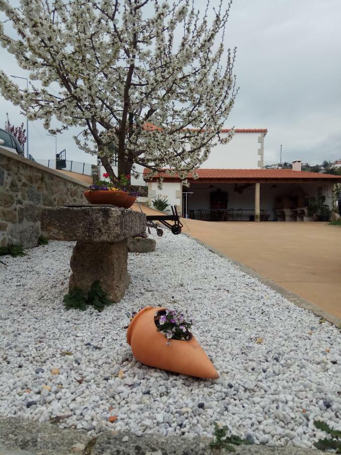 Casa Freitas Villa Paredes de Coura Kültér fotó